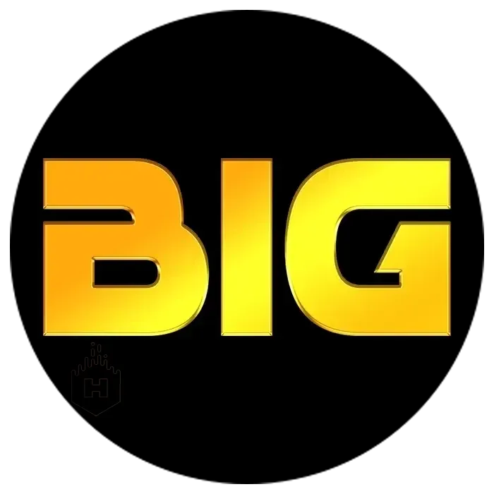 BIGHOKI - Petualangan Epik dalam Dunia MMORPG